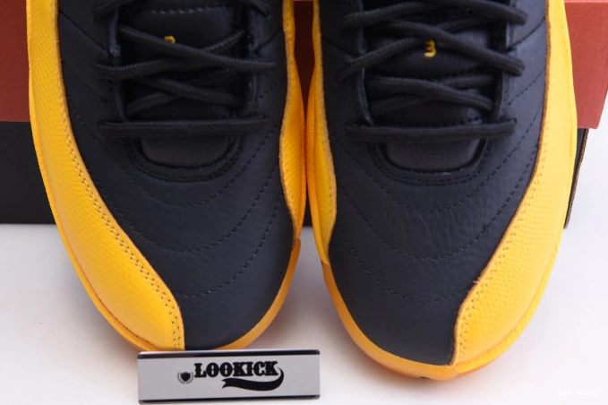 Air University 130690-070 Gold Jordan 12 Black Retro 0724